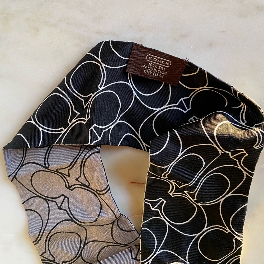 Coach Silk Ponytail & Purse Scarf, Signature Print